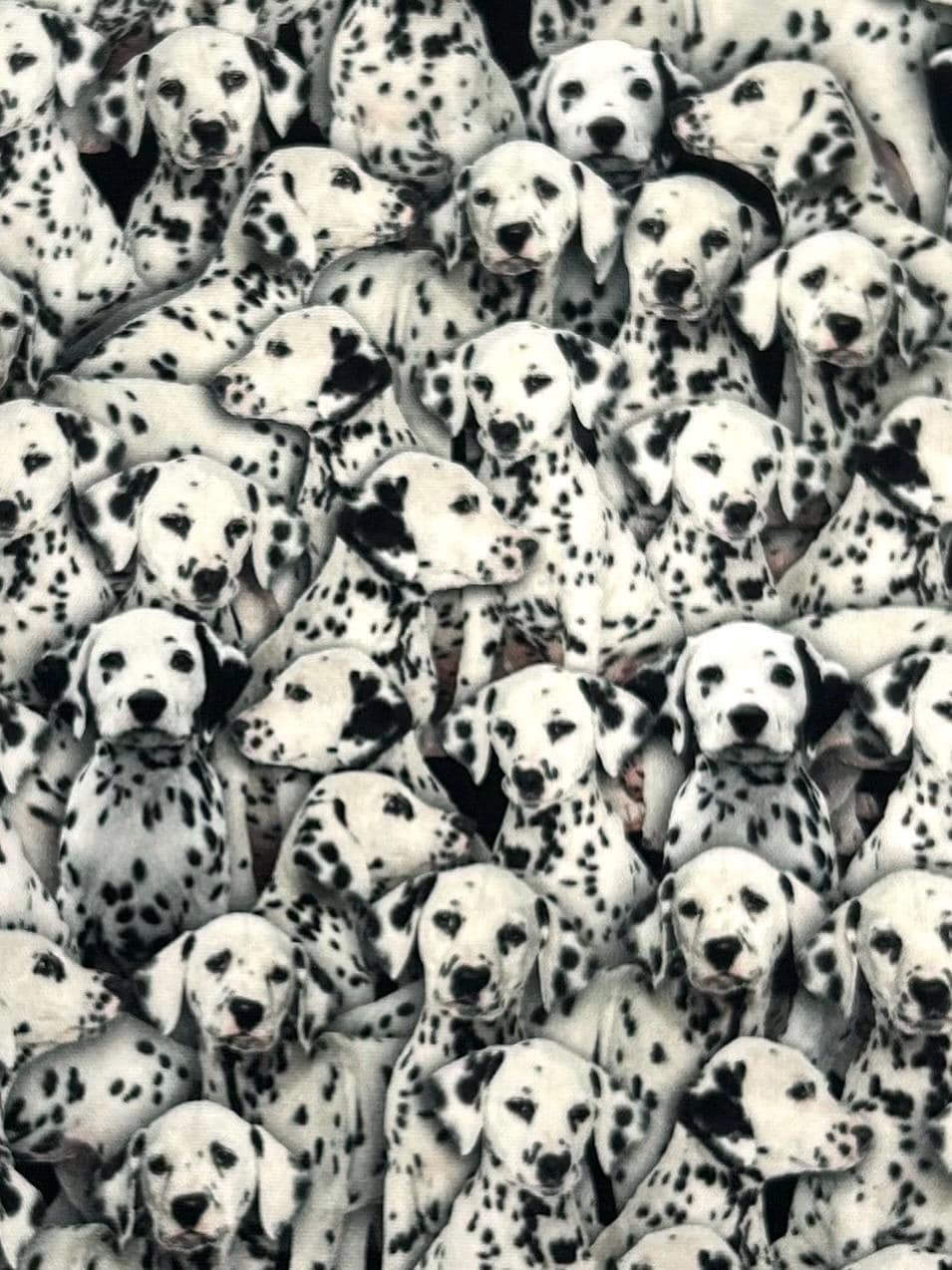 Stoff dalmatiner