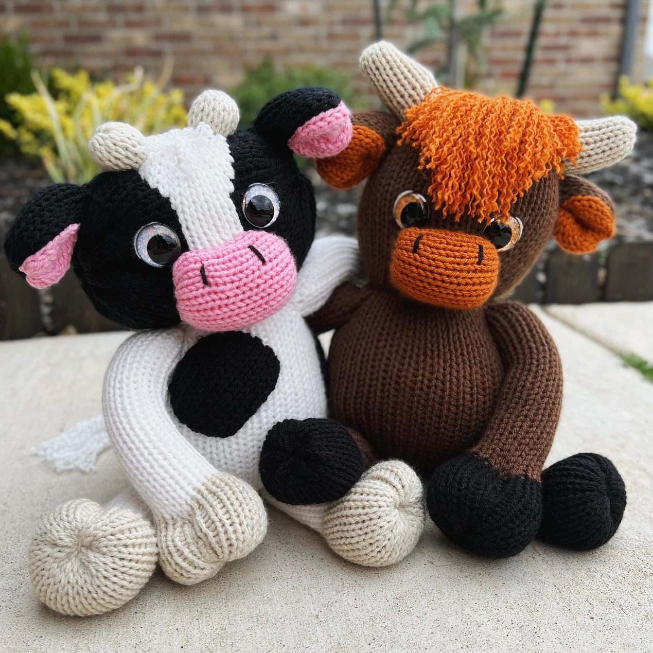 Cow and Bull Pattern Combo Holstien and Highland Circular - Etsy