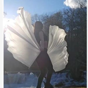 Asas de fada, asas de flores, asas de véu