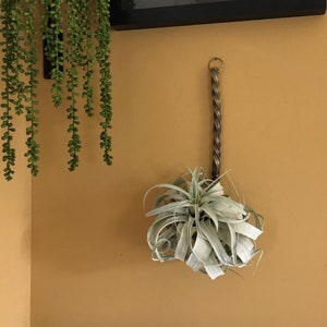 Solid brass Air plant holder / Large air plant holder / hanging air plant holder / air plant hanger / air plant display / Solid brass
