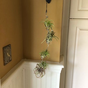 Solid Stainless Steel spiral air plant hangers / 5 spirals / air plant holder / hanging air plant holder / multiple air plant holder
