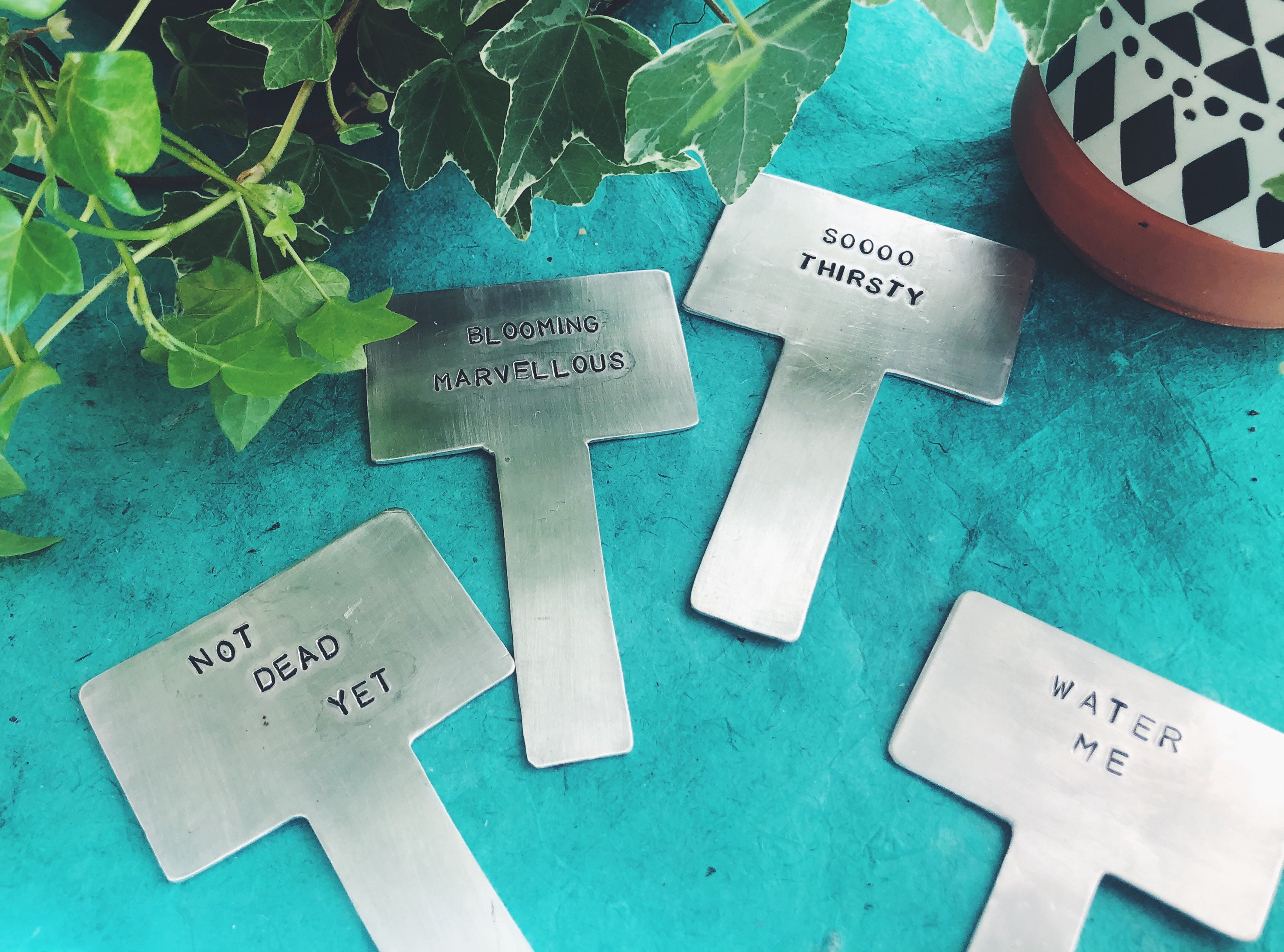 Houseplant Pot Signs Plant Signs Etsy