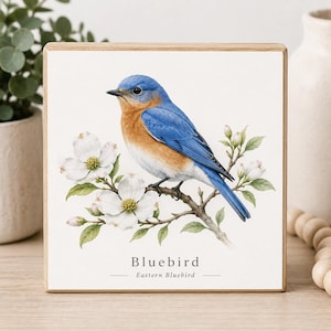 Bluebird Mini Art Block