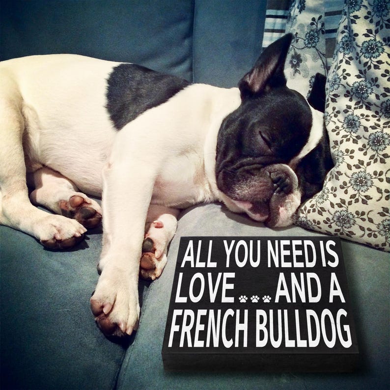French Bulldog Wood Sign: Frenchie Dog Mom Gift image 8