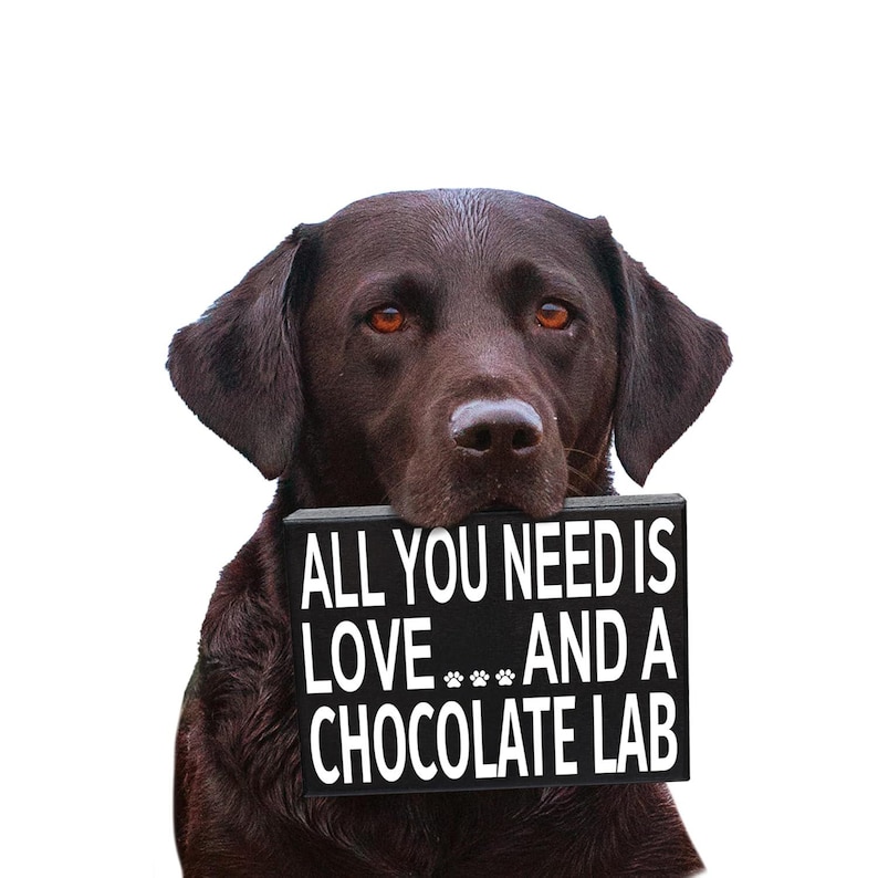 Labrador Lover, All You Need Is Love And A Chocolate Lab Sign and Gift for Mom image 3