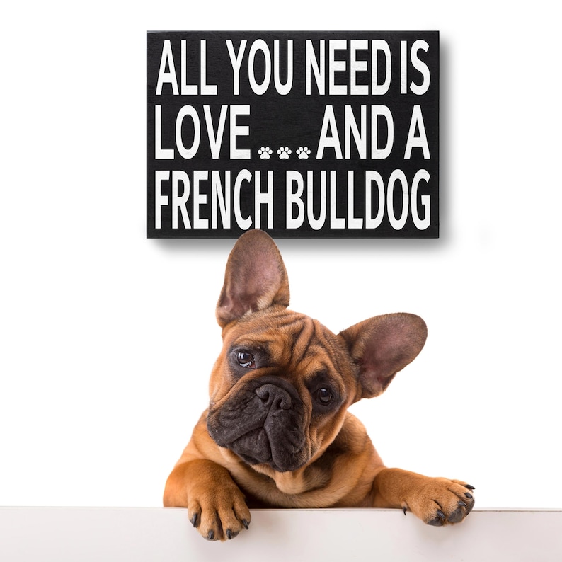 French Bulldog black and white box sign