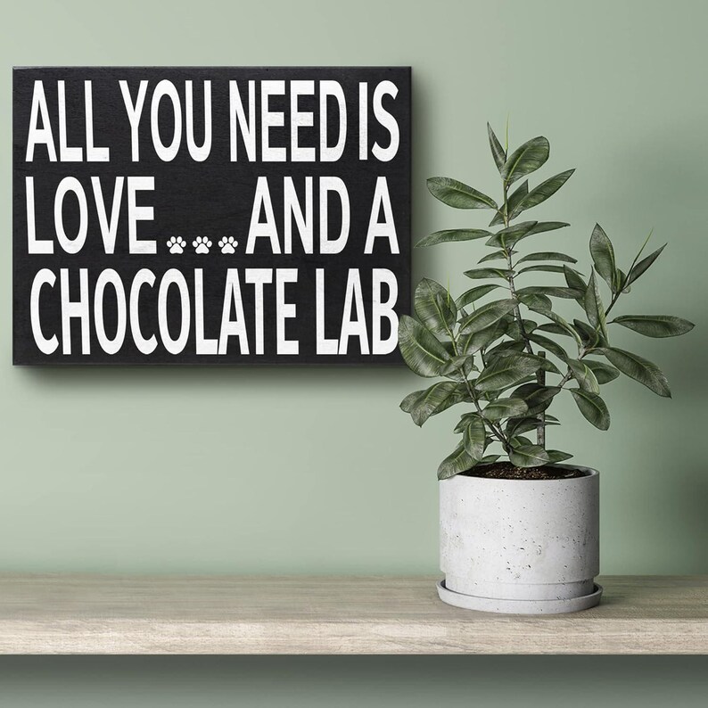 Labrador Lover, All You Need Is Love And A Chocolate Lab Sign and Gift for Mom image 4