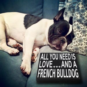 French Bulldog Wood Sign: Frenchie Dog Mom Gift image 8