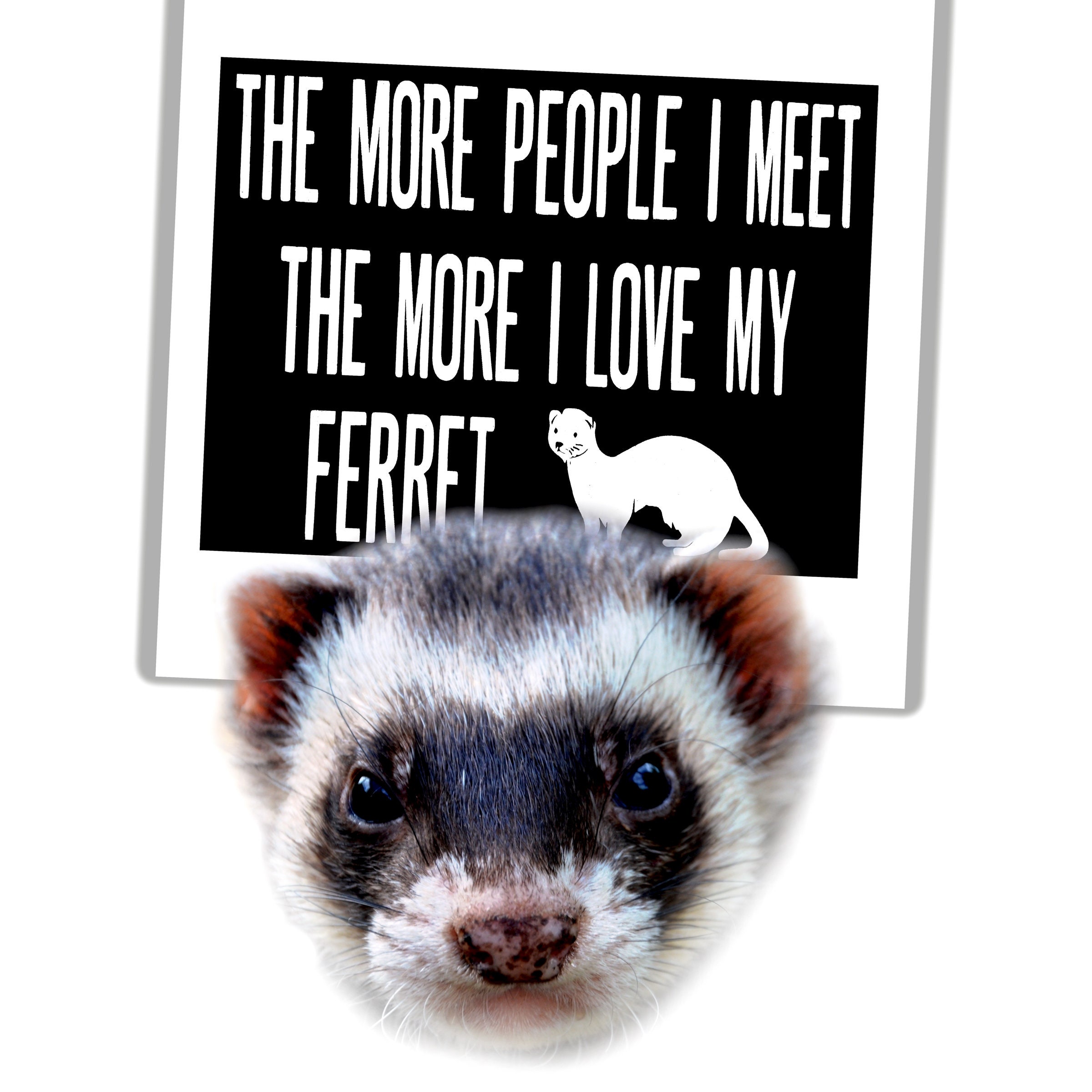 JG Ferret Decor Ferret Accessory Gift Ferret Gifts Etsy