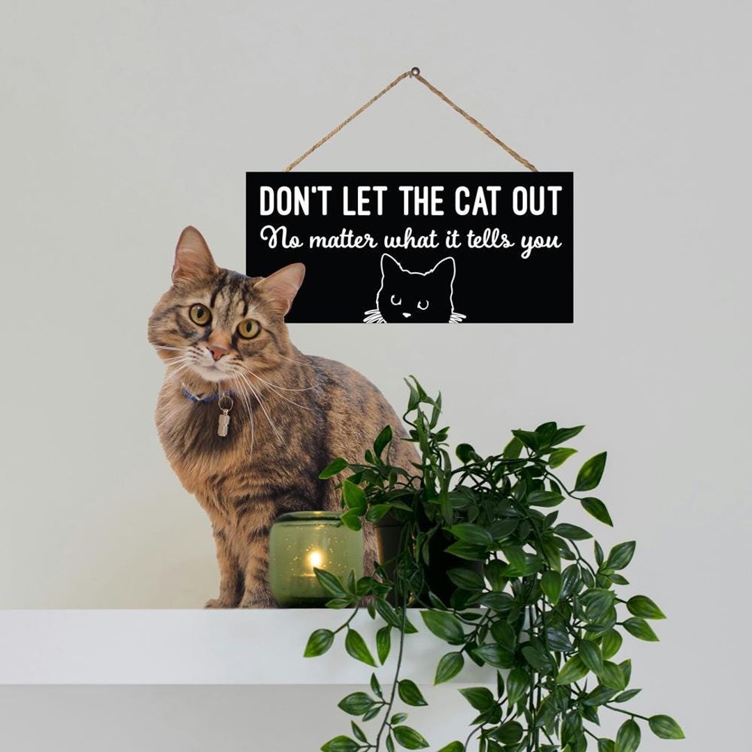 Funny Cat Sign – 'Please Don't Let The Cat Out No Matter What It Tells You' – Rustic Wood Decor