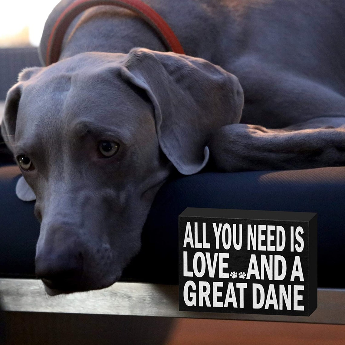 JG Great Dane Decor Sign Great Dane Wood Gift Sign Great | Etsy