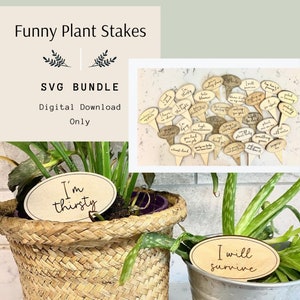 Funny Plant Stakes, Funny Plant Marker, Plant Stake Cut File, Plant Marker SVG, Garden Stake, Plant SVG Bundle, Plant Stake Laser Cut File