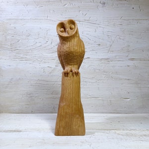 Maple Owl