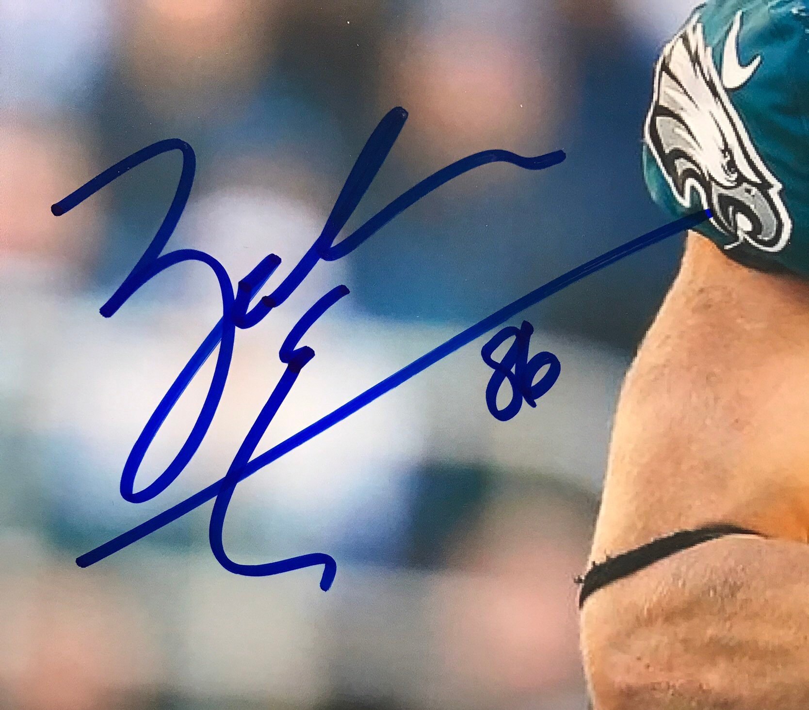 Collectibles Art & Collectibles Zack Ertz 8x10 Photo Hand Signed