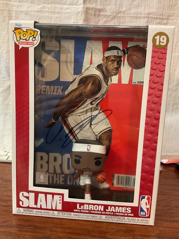 lebron james vinyl