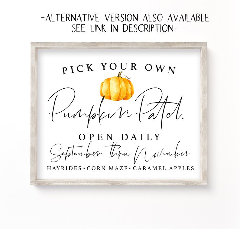 May include: A white sign with a wood frame, featuring the text "Pick Your Own Pumpkin Patch" in black cursive font. A watercolour illustration of a pumpkin is above the text. The sign also includes the text "Open Daily September thru November" and "Hayrides, Corn Maze, Caramel Apples".