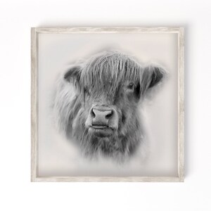 Highland Cow printable, shaggy cow sign, cow printable art, highland cow sign, printable wall art