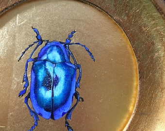 Besouro Azul - besouro menta azul - Chrysolina coerulans - Pintura a óleo sobre ouro 23 quilates