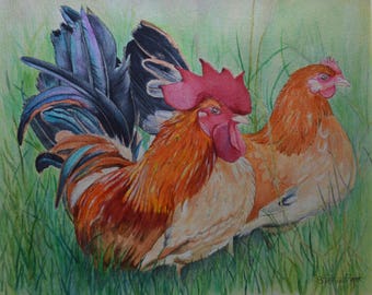 Barnabé & Mérédith - Galo e galinha - Aquarela naturalista original - Animal Art - Galo e caçarola - Aquarela naturalista
