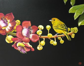 Sicalis - Pássaro açafrão e flor couroupita guianensis - Pintura a óleo sobre madeira