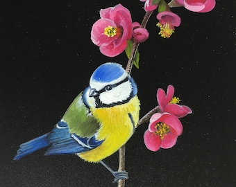 Adélie - Chapim-azul e flores de marmelo - Cyaniste caeruleus - Pintura a óleo em miniatura sobre madeira - Naturalismo contemporâneo