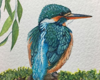 Alcide - Guarda-rios-comum - Acedo Atthis - Aquarela Original - Naturalismo contemporâneo