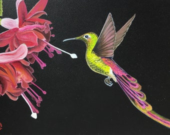 Saphorine - Cometa de cauda vermelha - Sappho sparganurus - Pintura a óleo em miniatura sobre madeira - Naturalismo contemporâneo