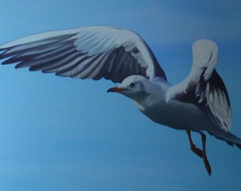 Chaika - Flying black-headed Gull in the blue sky - Oil painting on canvas