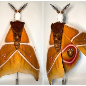 Bullseye Moth Wings Costume Cape Hand-Painted Wings Fantasy Clothing Gothic