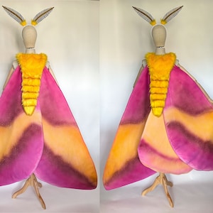 Rosy Maple Moth Costume Fantasy Wings Hand Painted