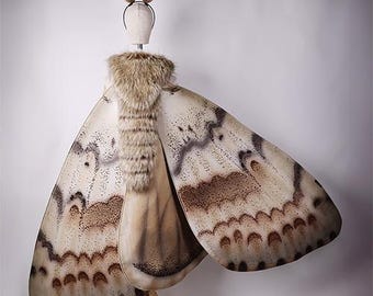 May include: A costume resembling a moth, featuring large, detailed wings in shades of cream, brown, and gray. The costume includes a faux fur collar and a headpiece with feather-like accents. The wings are supported by a wooden stand.