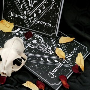 Puede incluir: Dos diarios negros con texto blanco e ilustraciones. El texto en los diarios dice "Journal of Secrets". Los diarios est&aacute;n sobre una superficie negra con p&eacute;talos de flores secas.