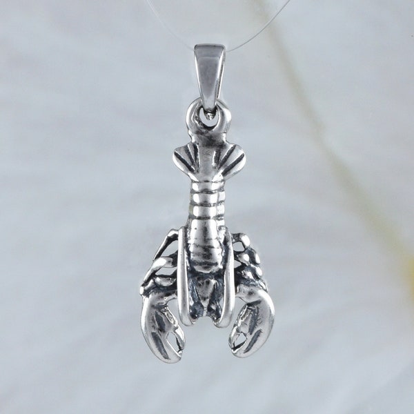 Unique Texan 3D Crawfish Necklace, Sterling Silver Crawfish Charm Pendant, N8277 Birthday Mom Wife Girl Mother Gift, Texan Jewelry