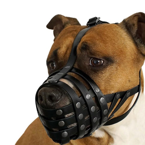 dog muzzle for pitbull