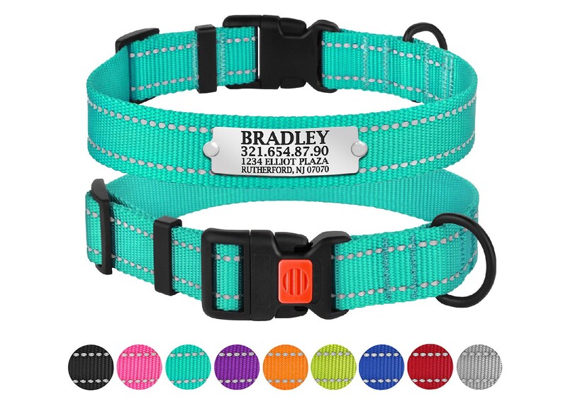 Dog Collar, Personalized Dog Collar, Reflective Dog Collar with Engraved Nameplate, Custom Dog Collar, Durable Dog Collar and Matching Leash 