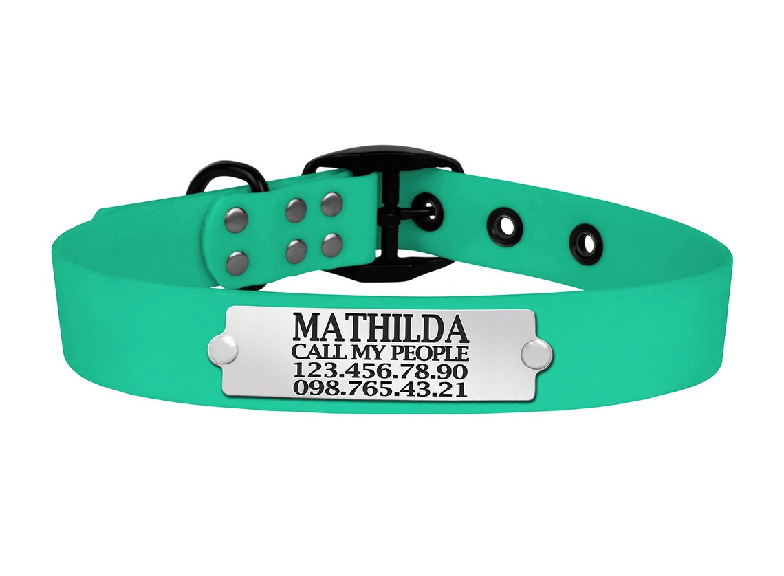 Waterproof Dog Collar Personalized Puppy Collar with Dog Name Etsy