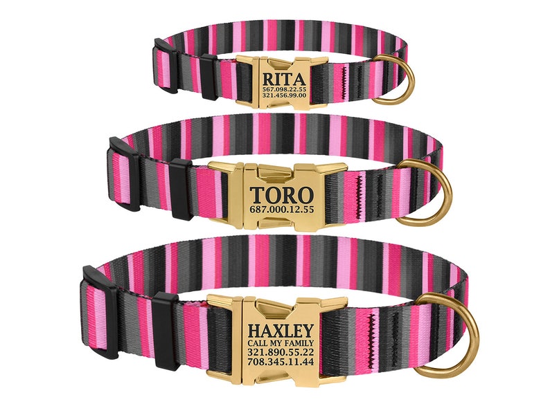 Custom Dog Collar Engraved Buckle Personalized Puppy Collar Etsy