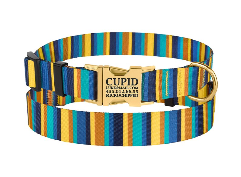 Custom Dog Collar Engraved Buckle Personalized Puppy Collar Etsy