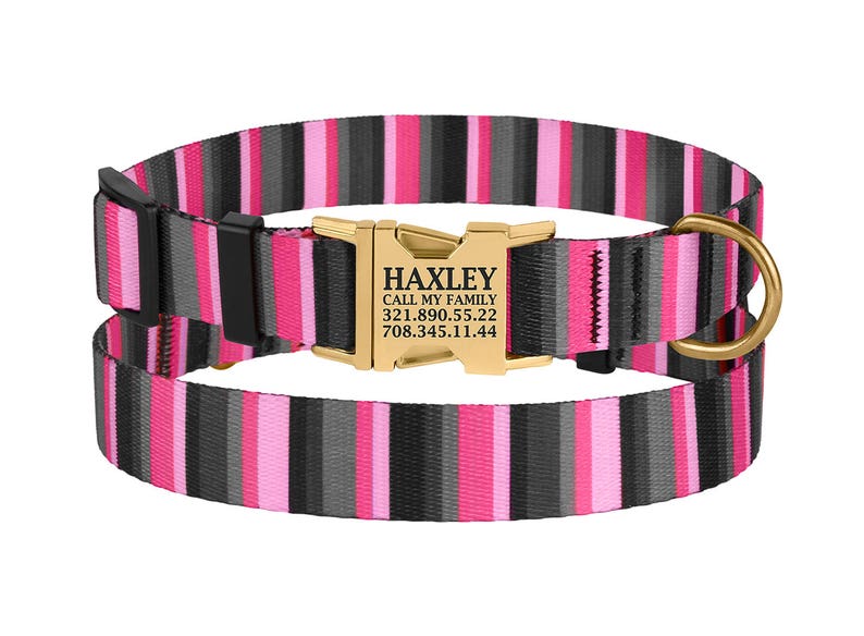 Custom Dog Collar Engraved Buckle Personalized Puppy Collar Etsy
