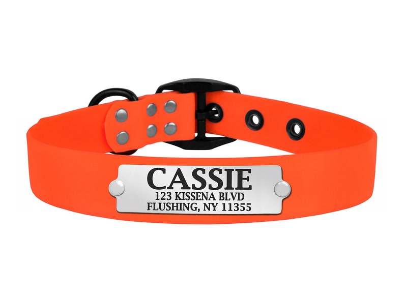 Waterproof Dog Collar Personalized Puppy Collar with Dog Name Etsy