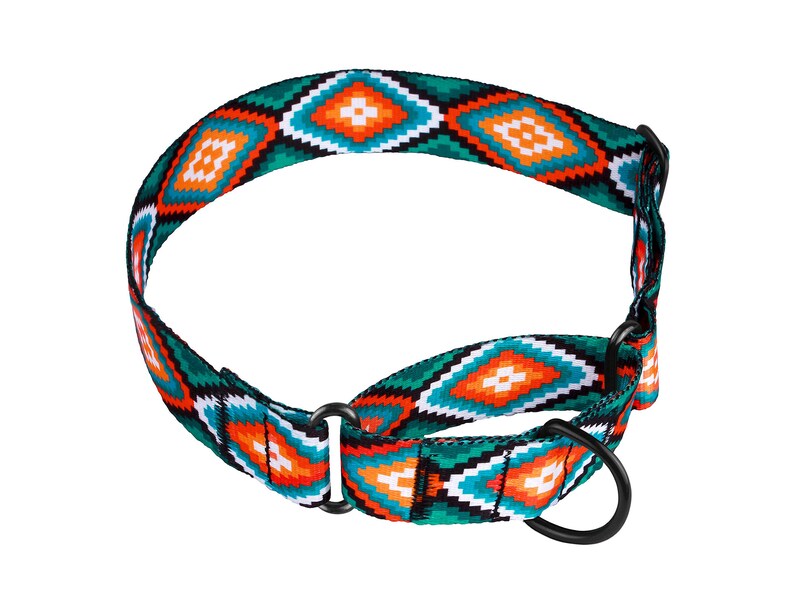 Martingale Dog Collar Wide Dog Collar Martingale Collar Etsy