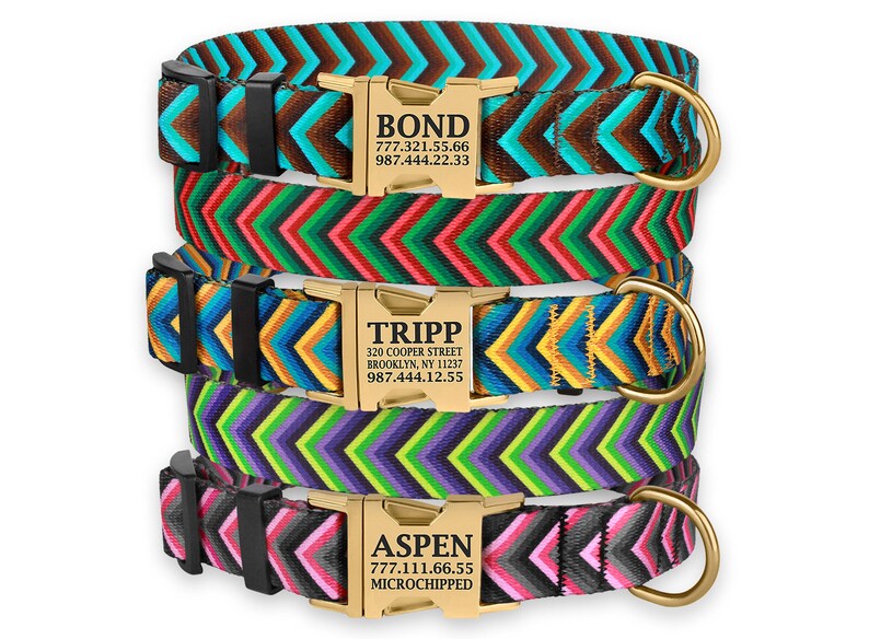 Dog Collar Dog ID Collar Custom Dog Collar Personalized Dog Etsy