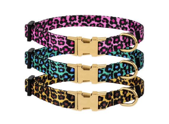 nylon puppy collar