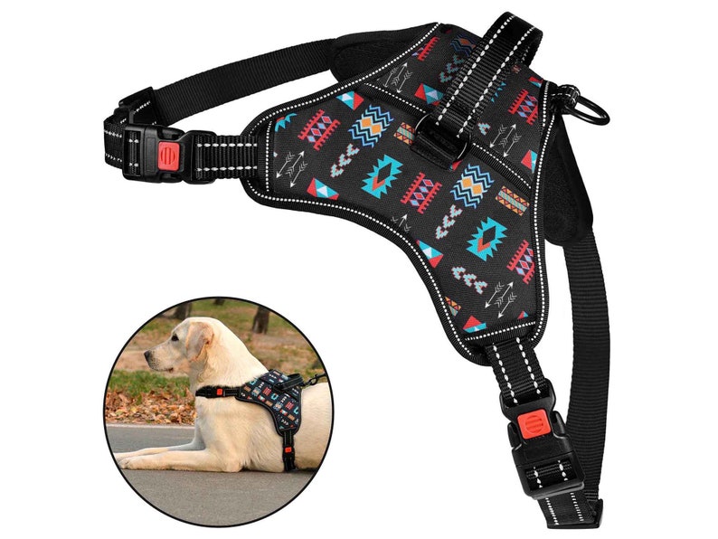 Dog Harness With Matching Leash Set Soft Padded Dog Harness Etsy