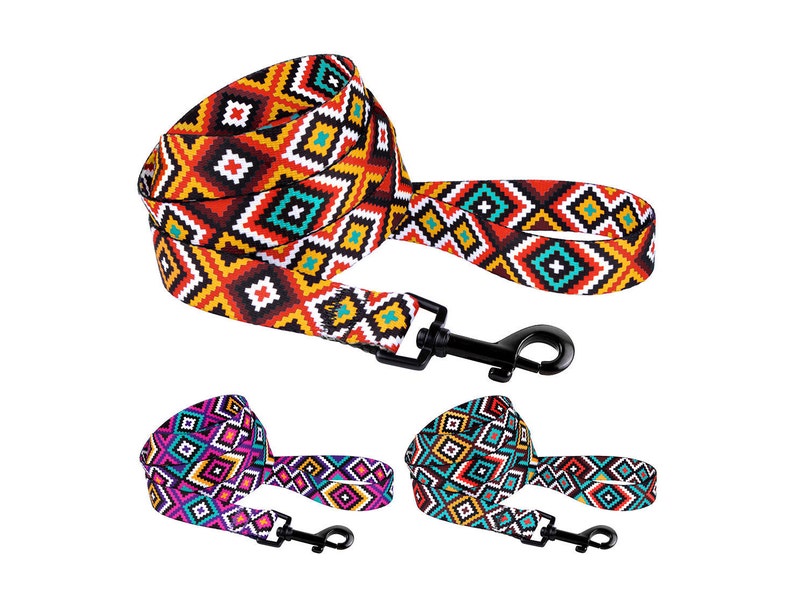 Martingale Walking Dog Collar with Durable Matching Leash Etsy