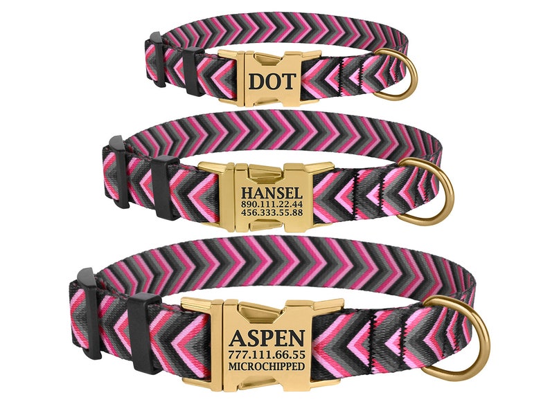 Dog Collar Dog ID Collar Custom Dog Collar Personalized Dog Etsy