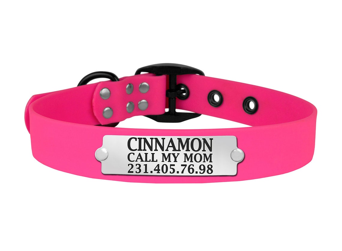 Waterproof Dog Collar Personalized Puppy Collar with Dog Name Etsy