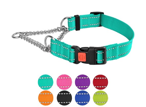 leash training with martingale collar