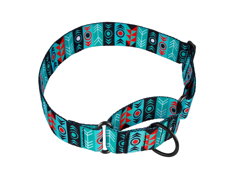 Martingale Dog Collar Wide Dog Collar Martingale Collar Etsy