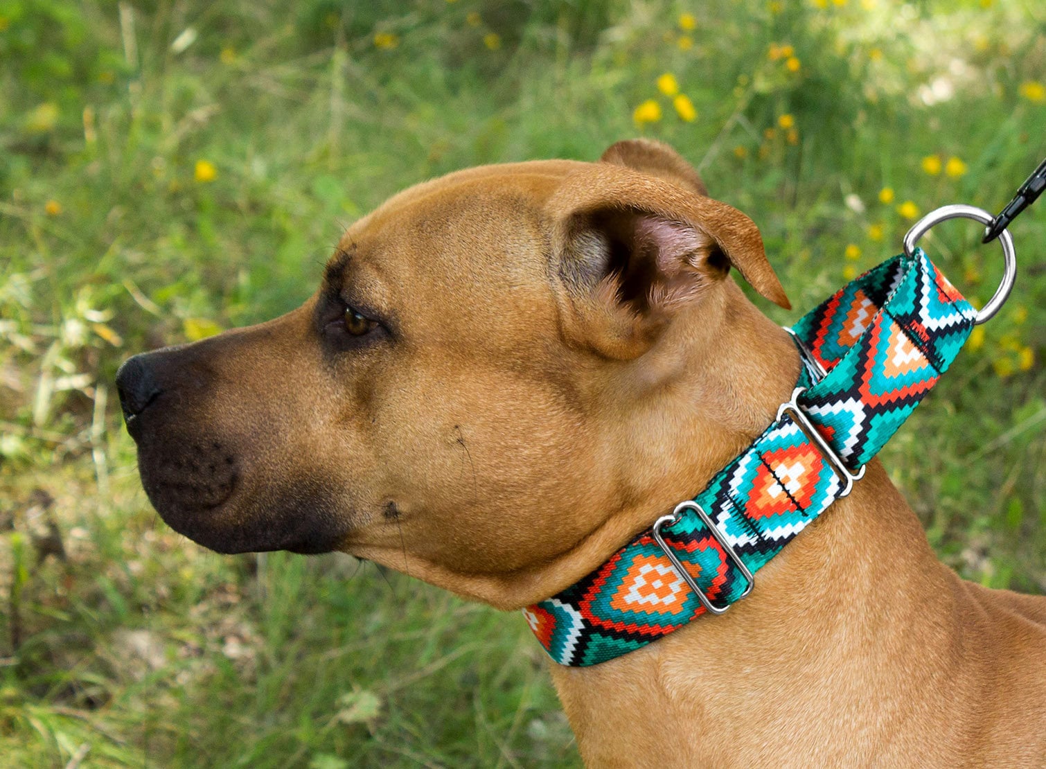 Martingale Dog Collar Wide Dog Collar Martingale Collar Etsy